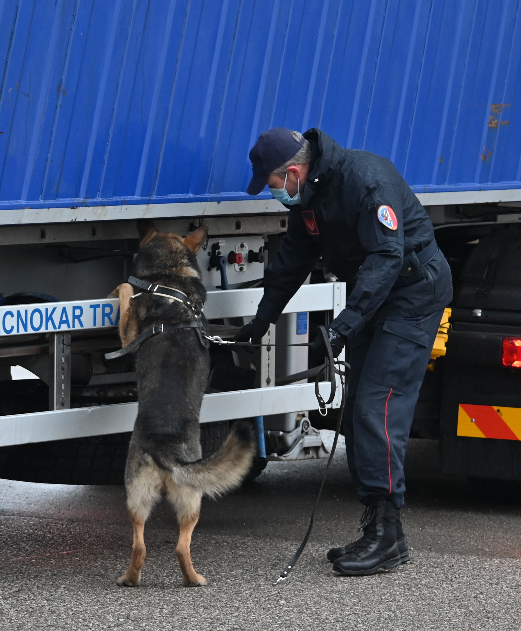 PORDENONE, MAXI OPERAZIONE DEI CARABINIERI: DUE ARRESTI, 10 DENUNCE E UN SEQUESTRO DI STUPEFACENTI